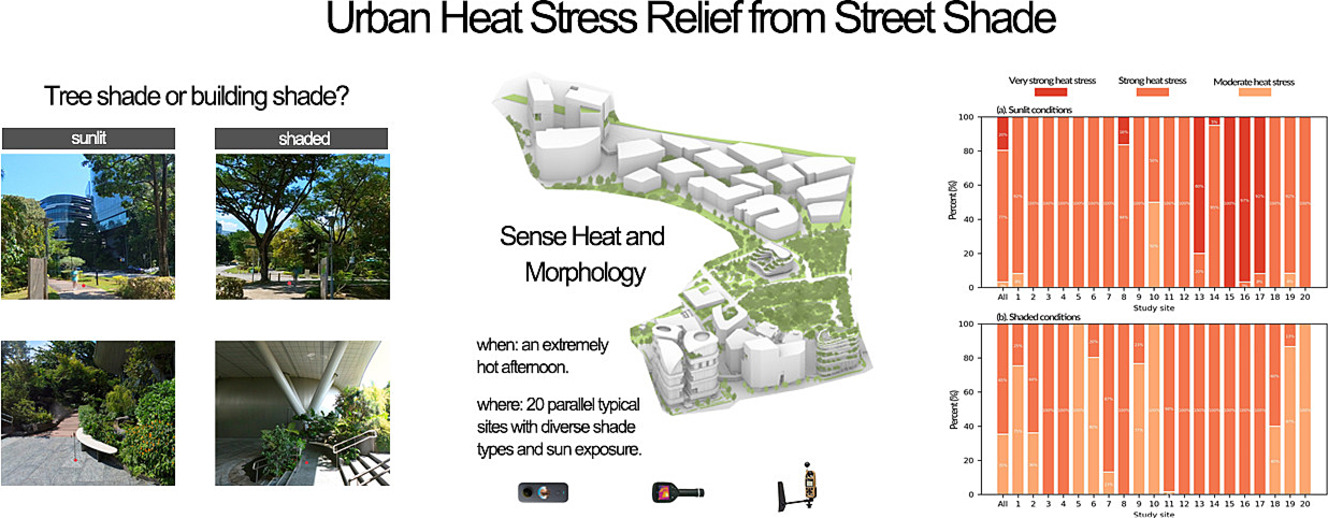 Graphic abstract from Xu et al. 2025